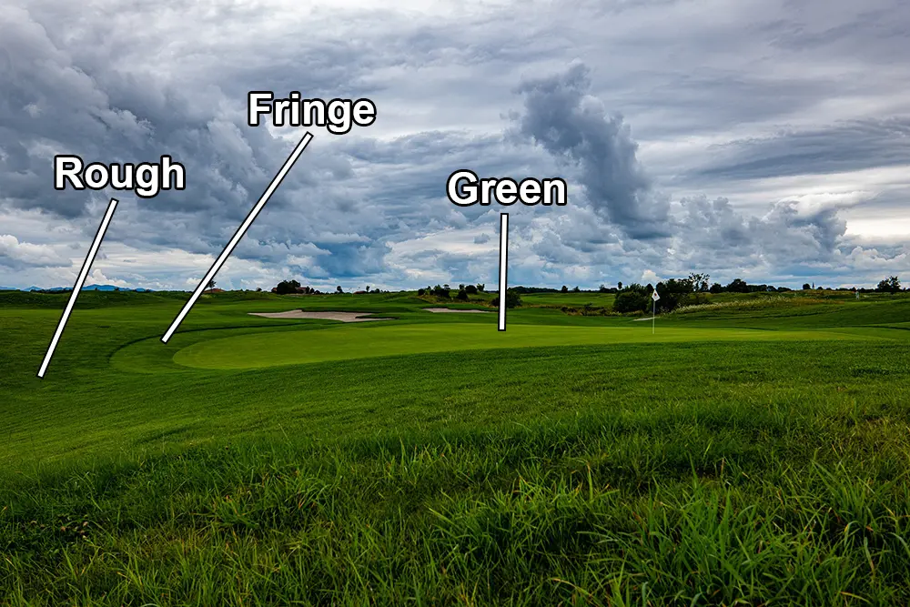 Golf Course Green Fringe and Rough