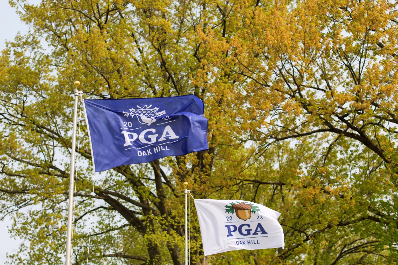 PGA Championship 2023 Live Stream on Reddit