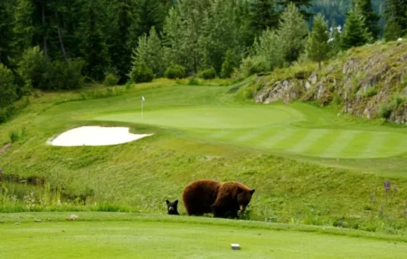 Canada’s Hidden Gem Golf Courses and What to Pack for the Trip